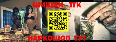 индика Нальчик