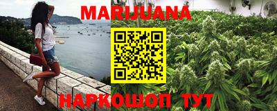 индика Нальчик